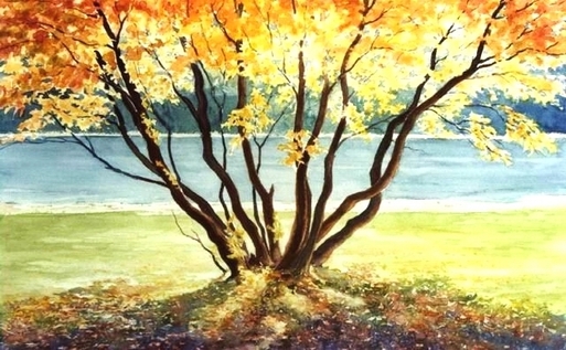 Picture